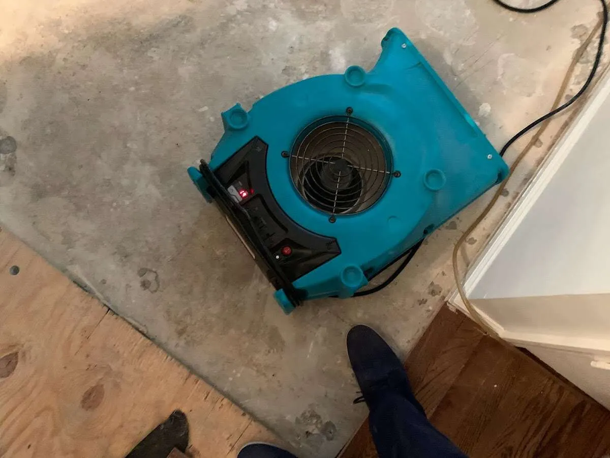 Air mover drying subfloor during Leak Detection & Repair in Osprey