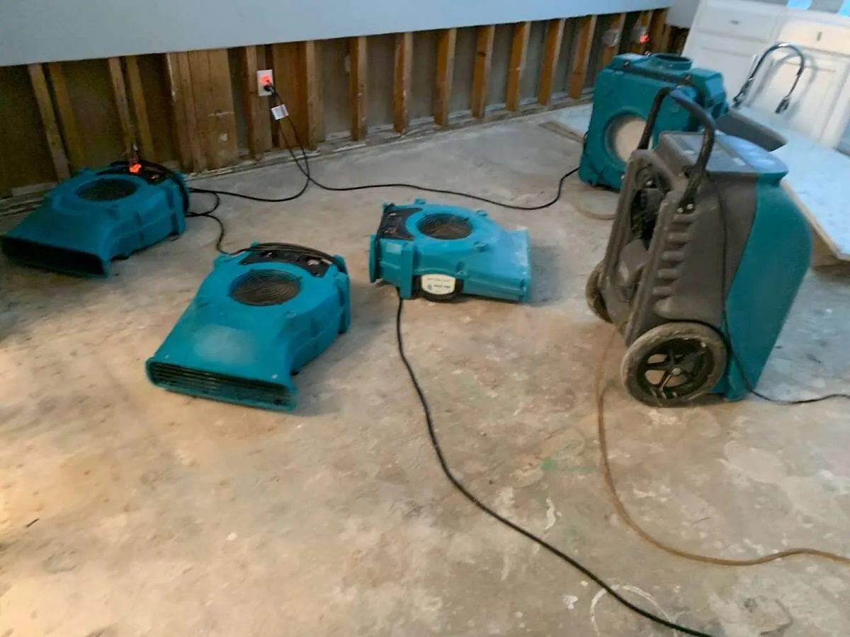 Water Damage Restoration services in Osprey, FL